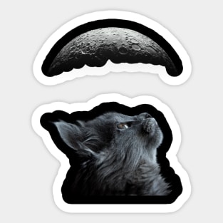 Cute Black Cat With Moon Cat adoption For Cat Lover Sticker